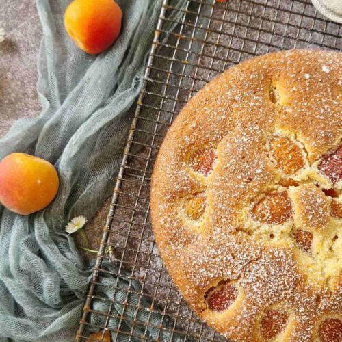 A dusting of powdered sugar adds the perfect sweet touch to this apricot cake."